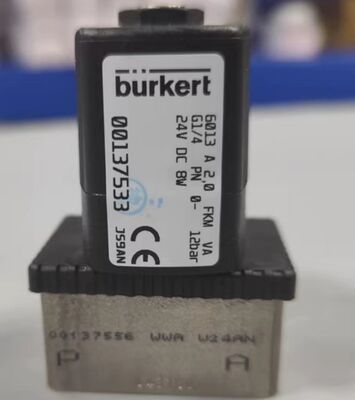 Burkert Original Genuine Product 6013series 00137537/00134233/00136018/00137533 Two-way Plunger Valve
