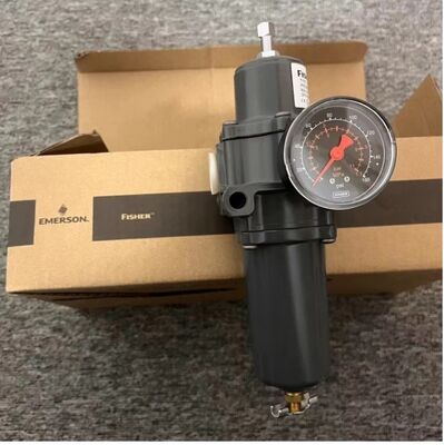 67DFR Model Pressure Reducing Regulator with Filter Function for Industrial Control Valves