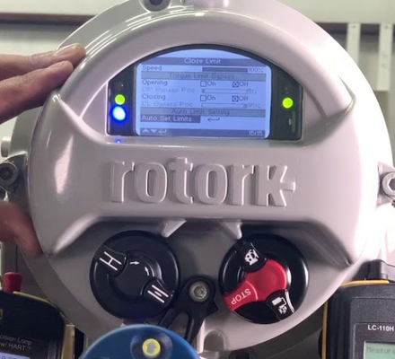 ROTORK IQT Range VALVE ACTUATOR  IQT3 IQT500   IQT1000  IQT 250 IQT125 IQT2000 